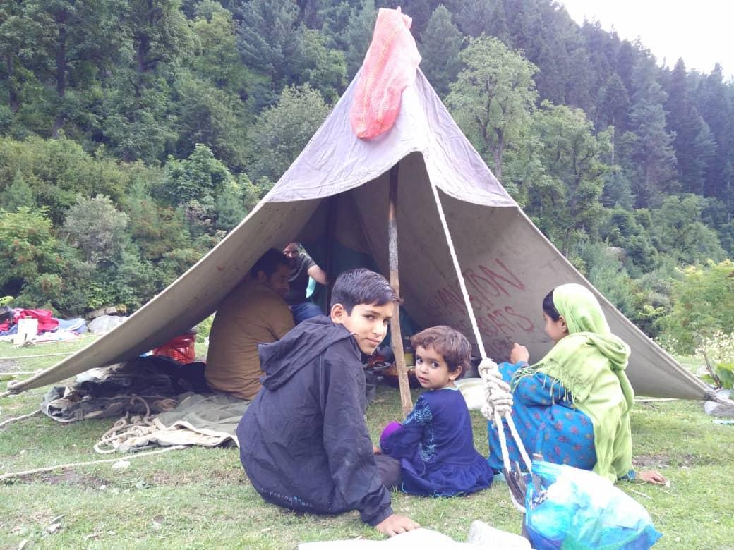Homestay Shamus Javed *