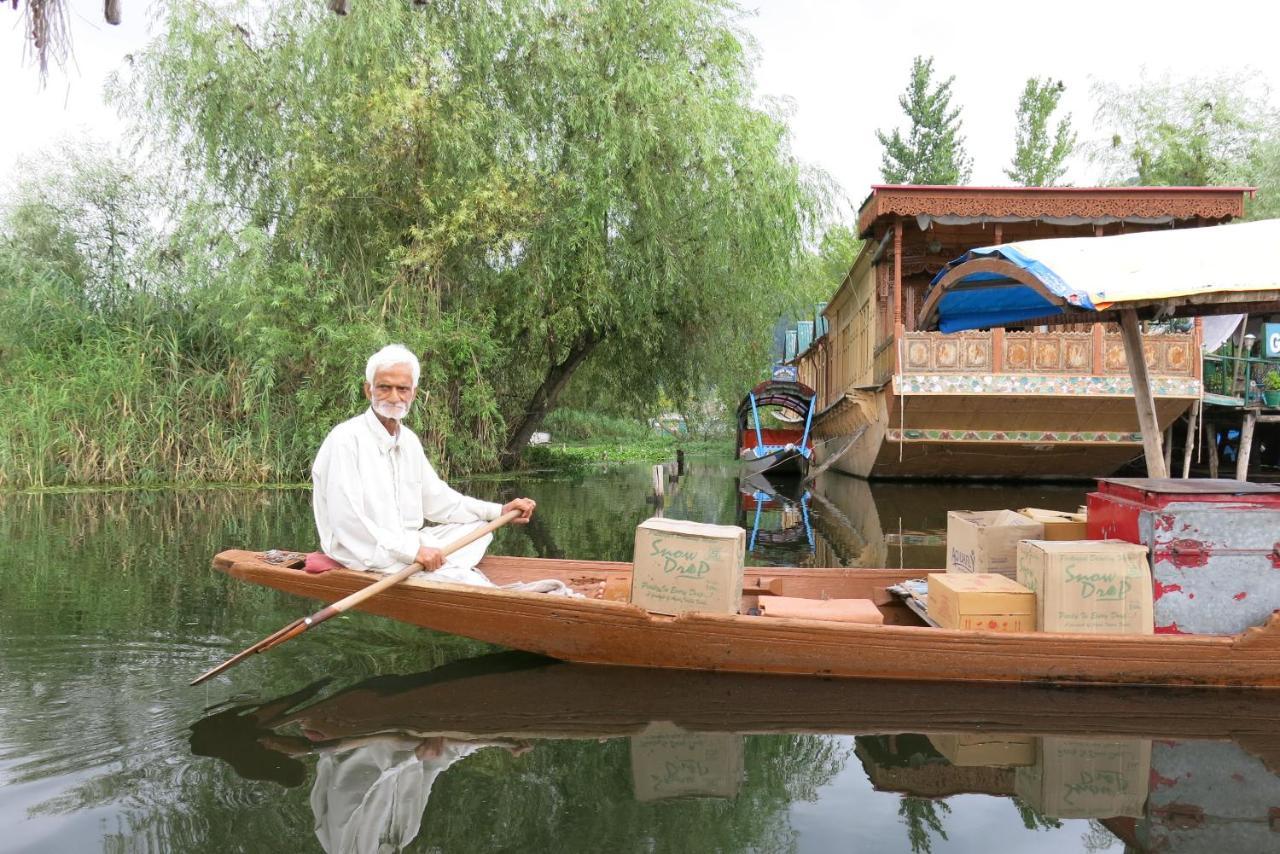 Shamus Javed Srinagar (Jammu and Kashmir)