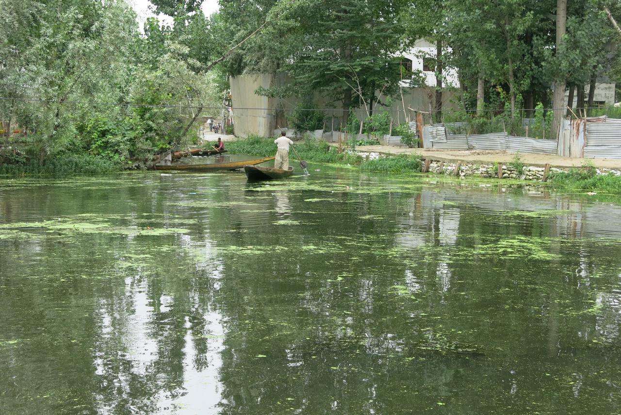Shamus Javed Homestay