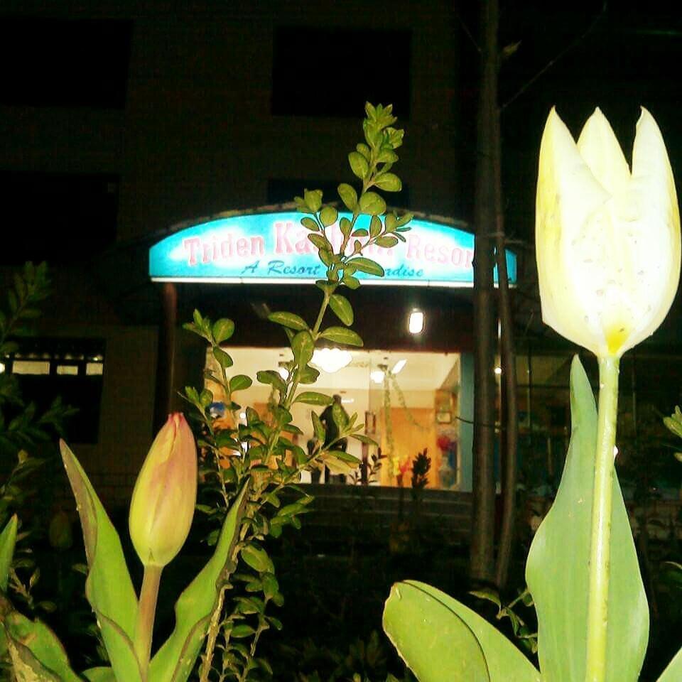 Triden Kashmir 3*