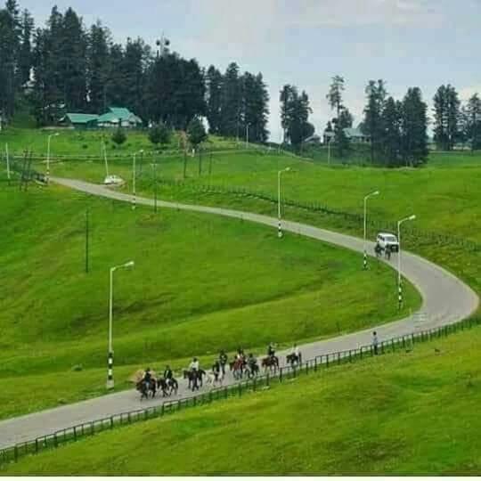Royal Reshi Hotel