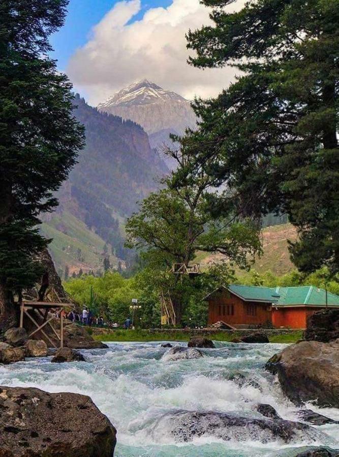 Hotel Royal Reshi *