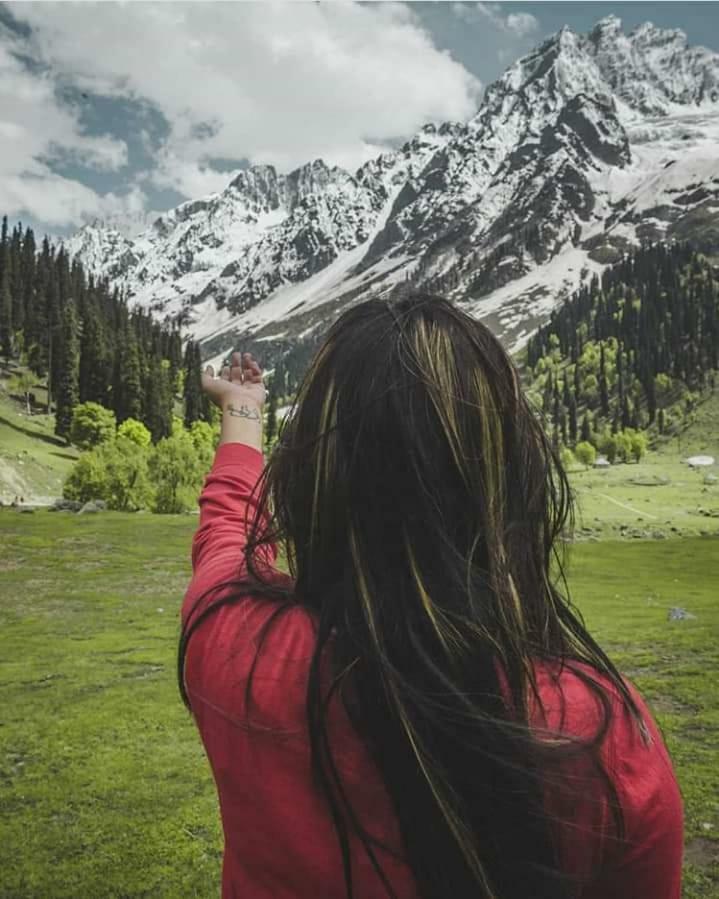 Royal Reshi * Srinagar (Jammu and Kashmir)