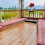 Houseboat Young Wild Rose