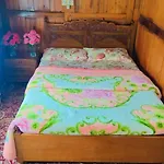 Houseboat Young Wild Rose
