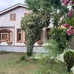 Ginkgo Leaf Home Stay