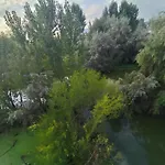 The Heaven Tree