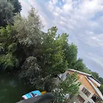 The Heaven Tree
