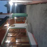 New Kashmir Palace