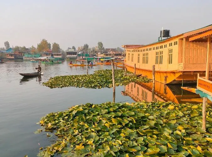 Lala Rulh Heritage Group Of Houseboats