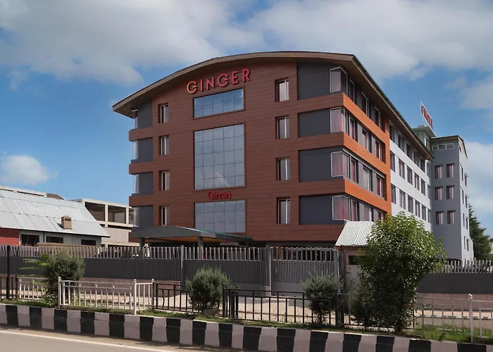 Ginger Srinagar Barzulla Near Srinagar Airport