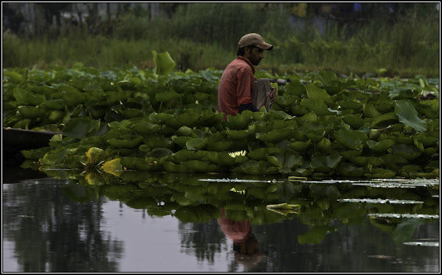 Houseboat Taj Palace * Srinagar (Jammu and Kashmir)