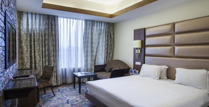Hotel Radisson