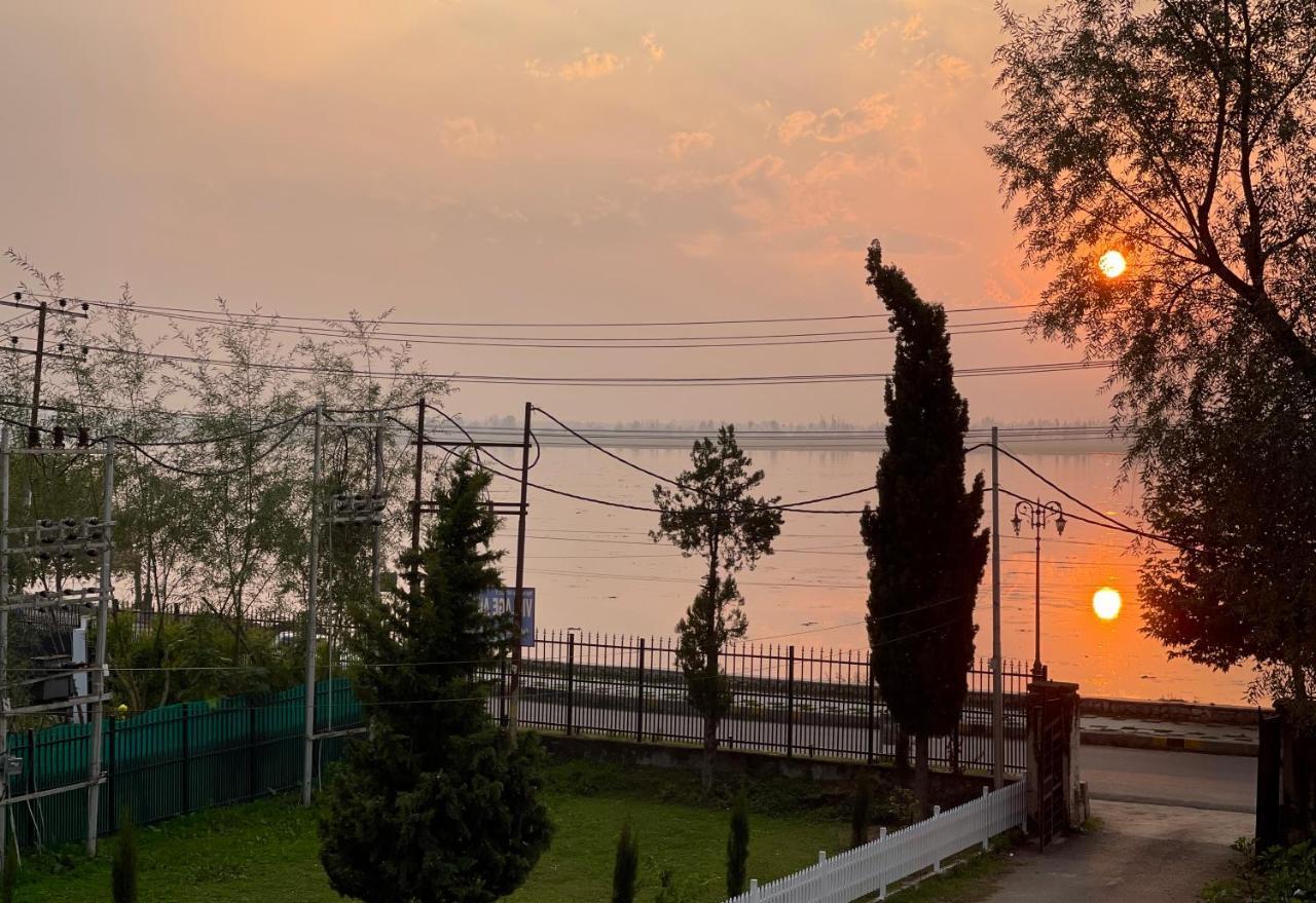 Lake Avenue, Dal Lake By Pattern