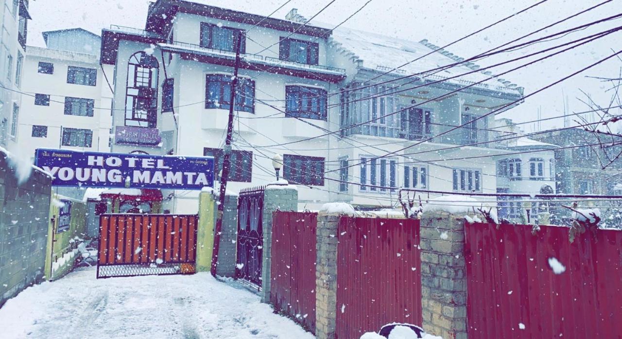 Young Mamta Hotel 3*