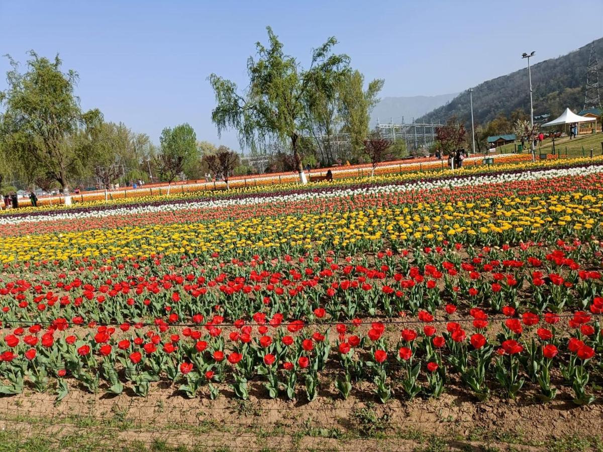 Homestay Island Homestay Srinagar (Jammu and Kashmir)