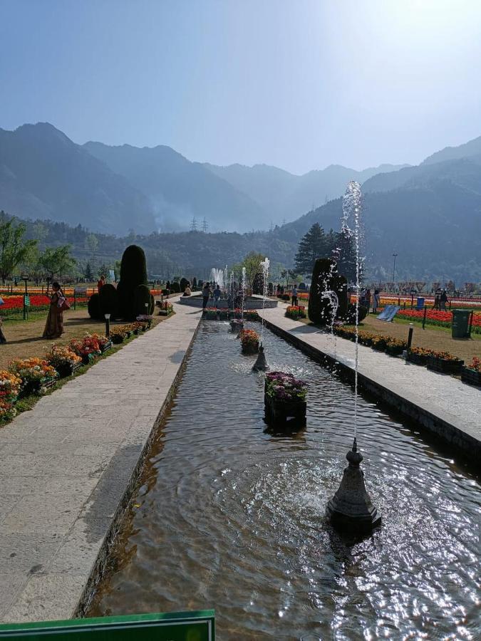 Island Homestay Homestay Srinagar (Jammu and Kashmir)