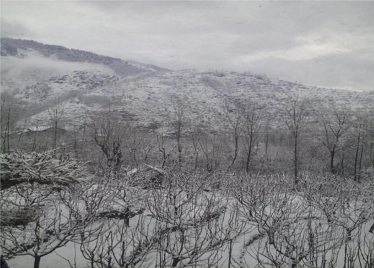 Calm Holiday Hotel Srinagar (Jammu and Kashmir)
