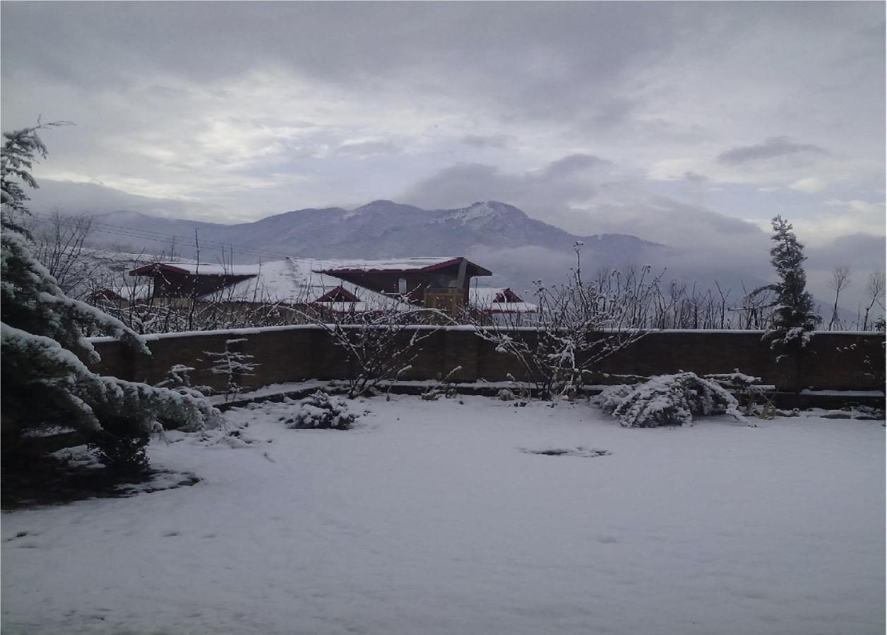 Calm Holiday 3* Srinagar (Jammu and Kashmir)