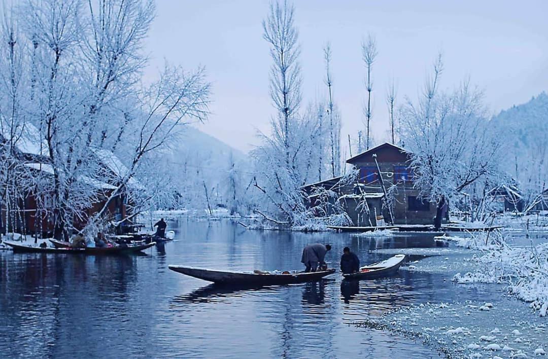 Floating Young Gulshan Houseboat Botel Srinagar (Jammu and Kashmir)
