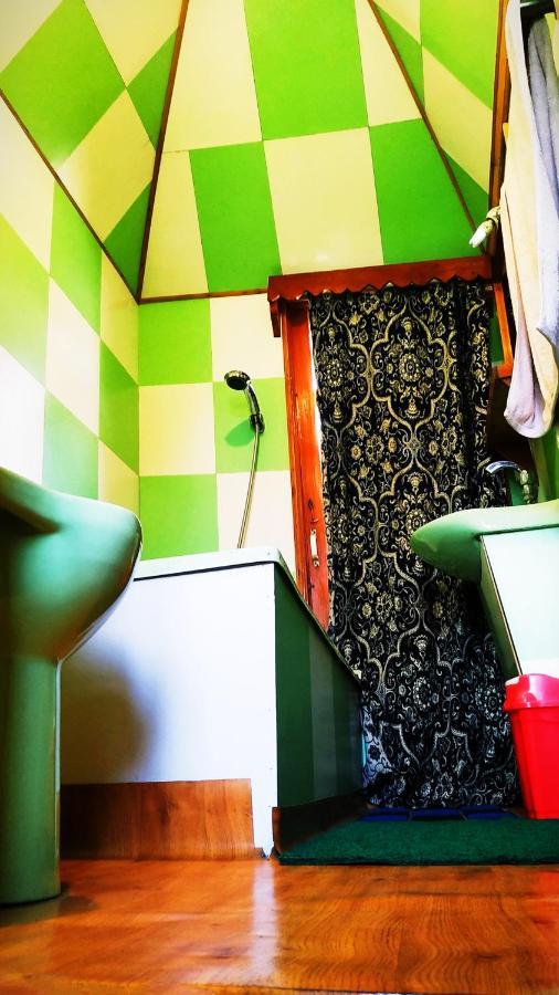 Botel Green View Group Of Houseboats 3*