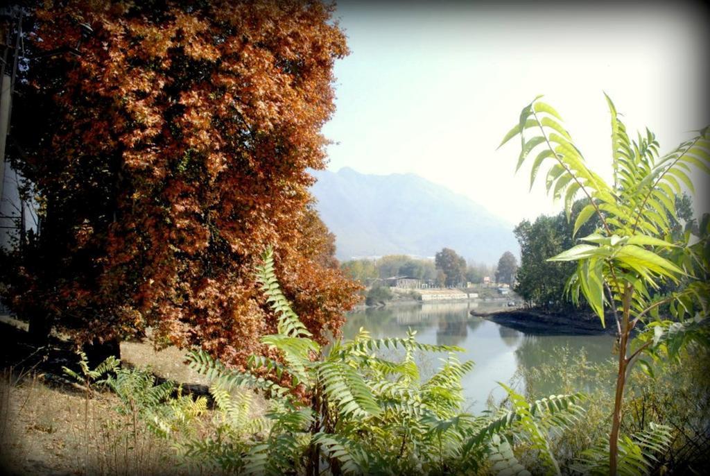 Welcome Residency Srinagar (Jammu and Kashmir)