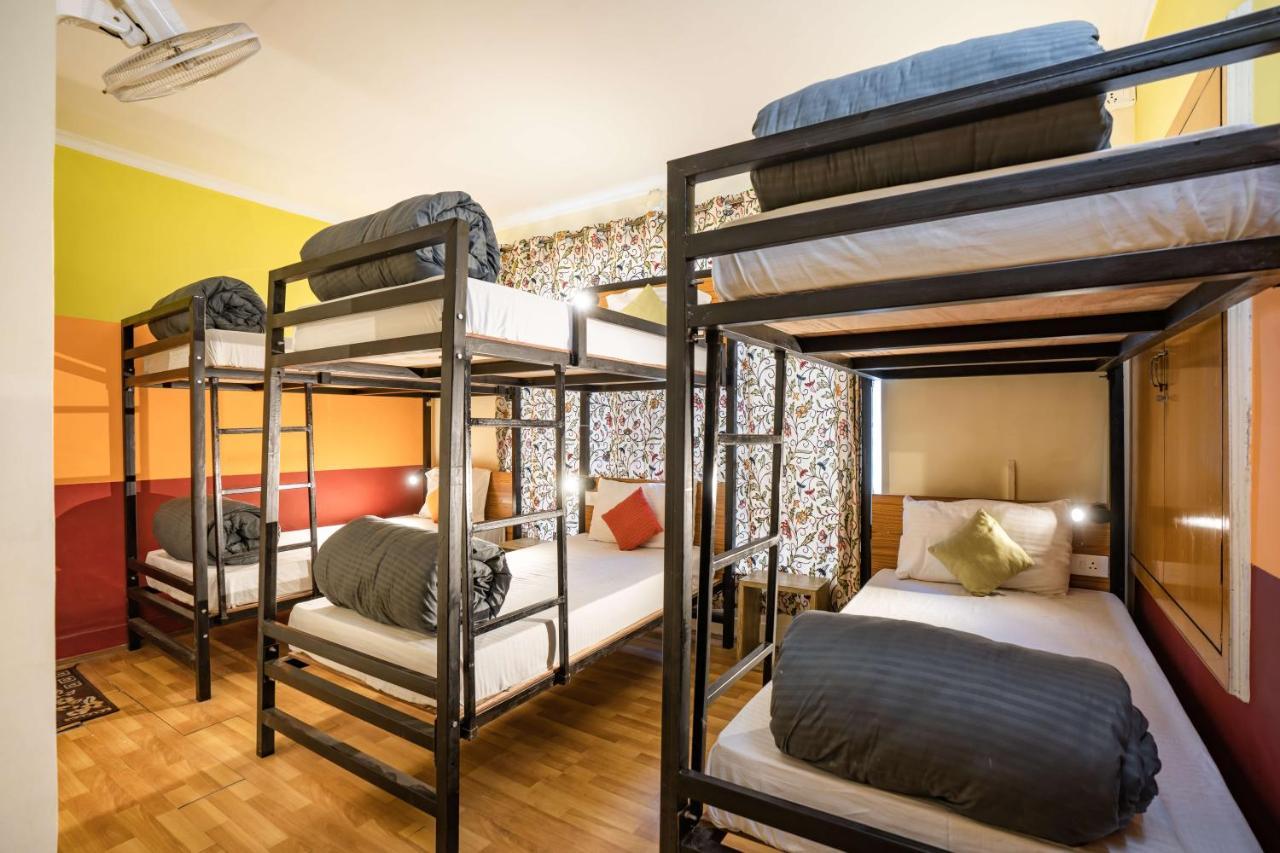 Zostel Hostel Srinagar (Jammu and Kashmir)