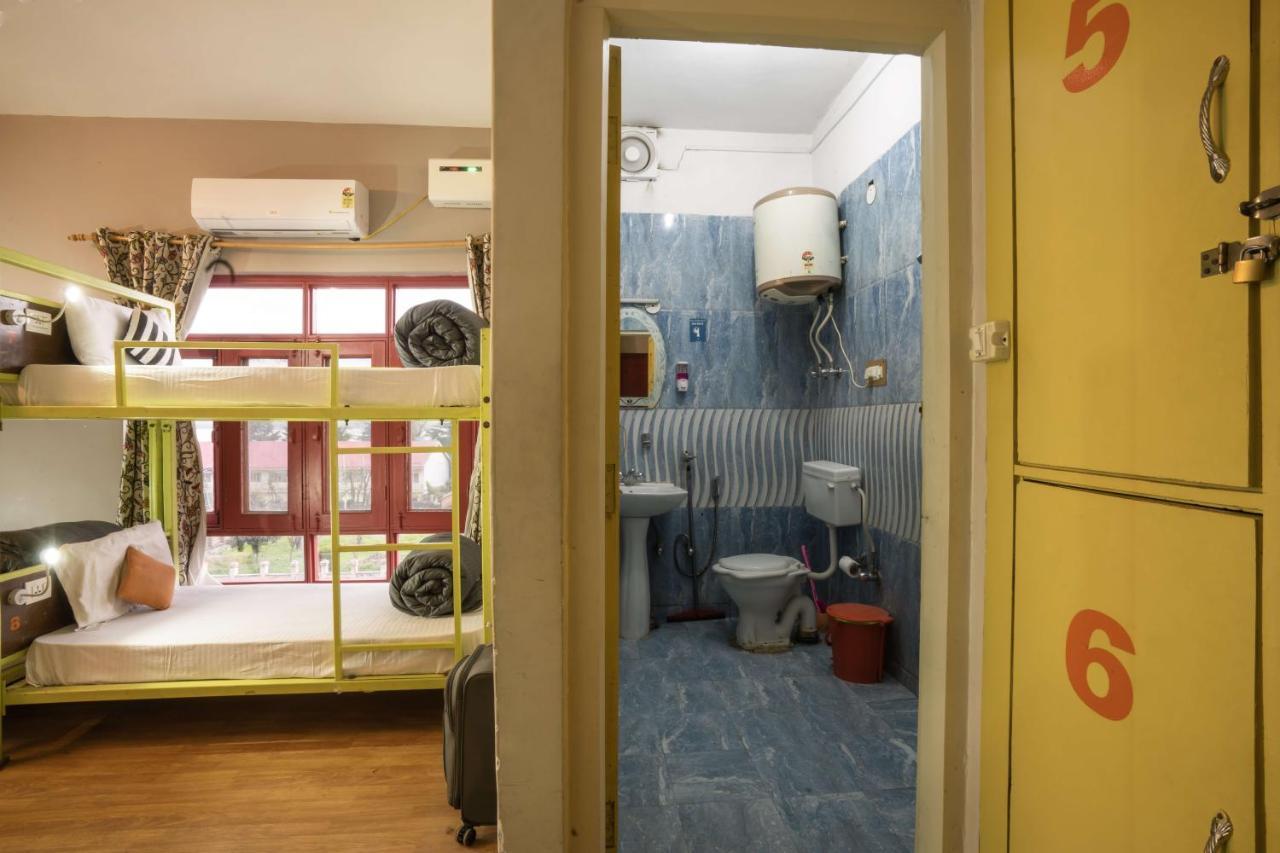 Zostel Hostel Srinagar (Jammu and Kashmir)