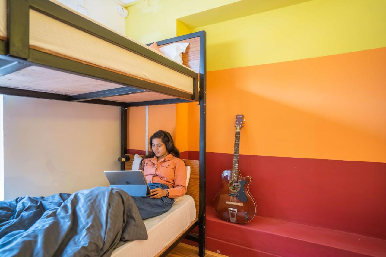 Zostel Hostel Srinagar (Jammu and Kashmir)