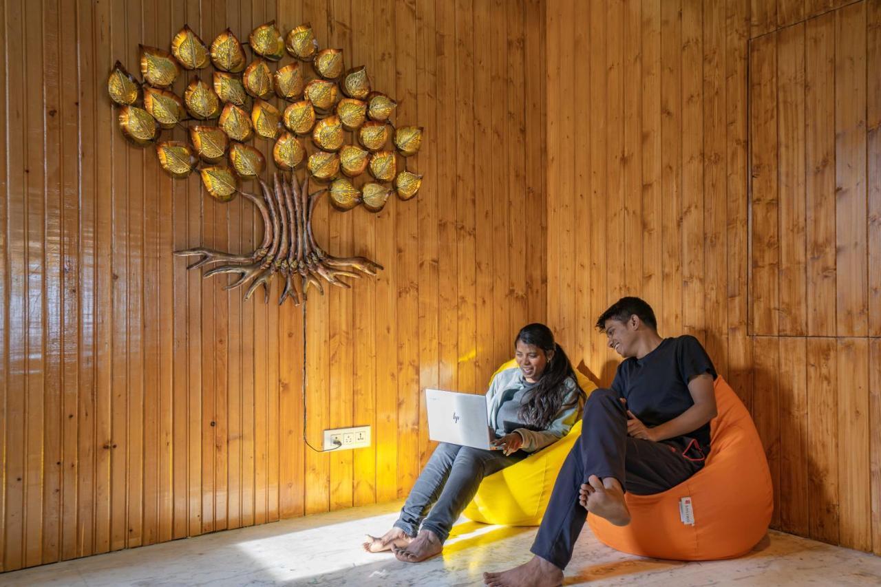Zostel Hostel Srinagar (Jammu and Kashmir)