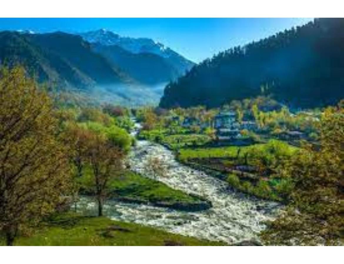 Ocean, Shrinagar Srinagar (Jammu and Kashmir)