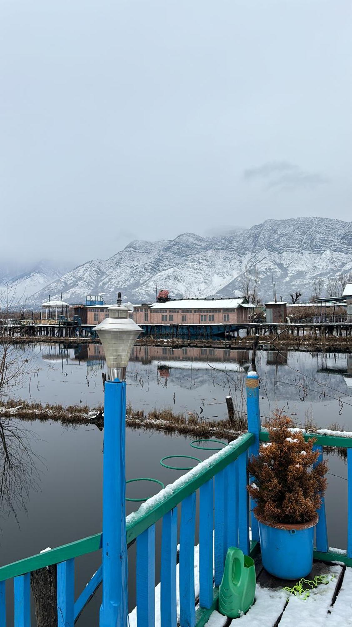 Houseboat Young Wild Rose 3*