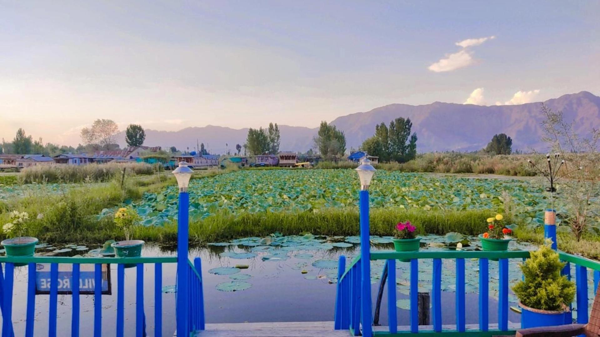 Hotel Houseboat Young Wild Rose Srinagar (Jammu and Kashmir)
