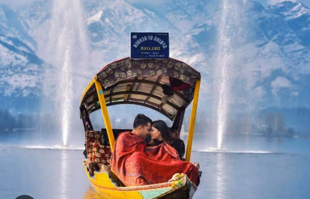 Hotel New Minar Group Of Houseboats Srinagar (Jammu and Kashmir)