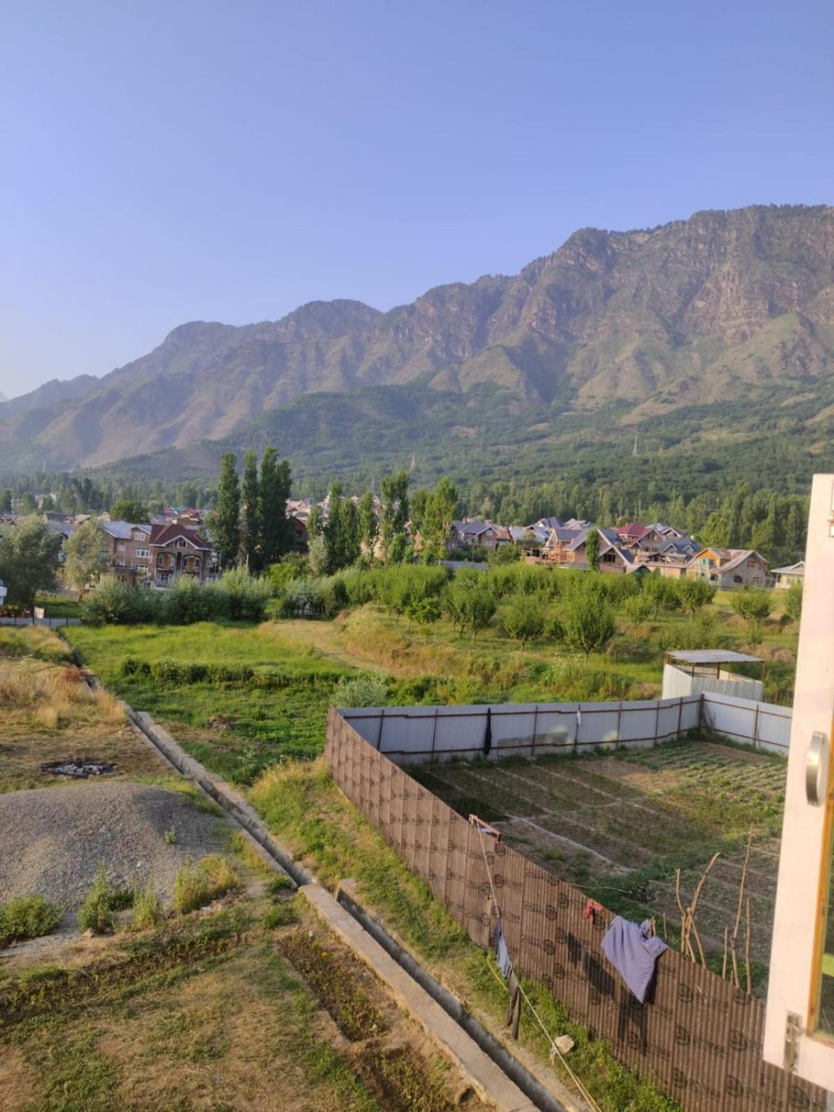 Love And Peace Homestay Homestay Srinagar (Jammu and Kashmir)