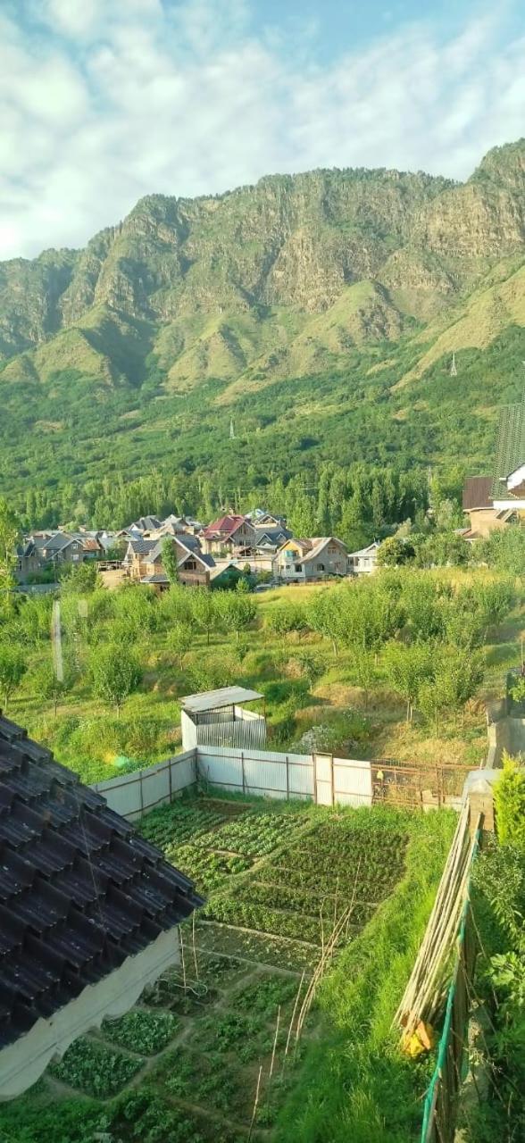 Love And Peace Homestay Homestay Srinagar (Jammu and Kashmir)