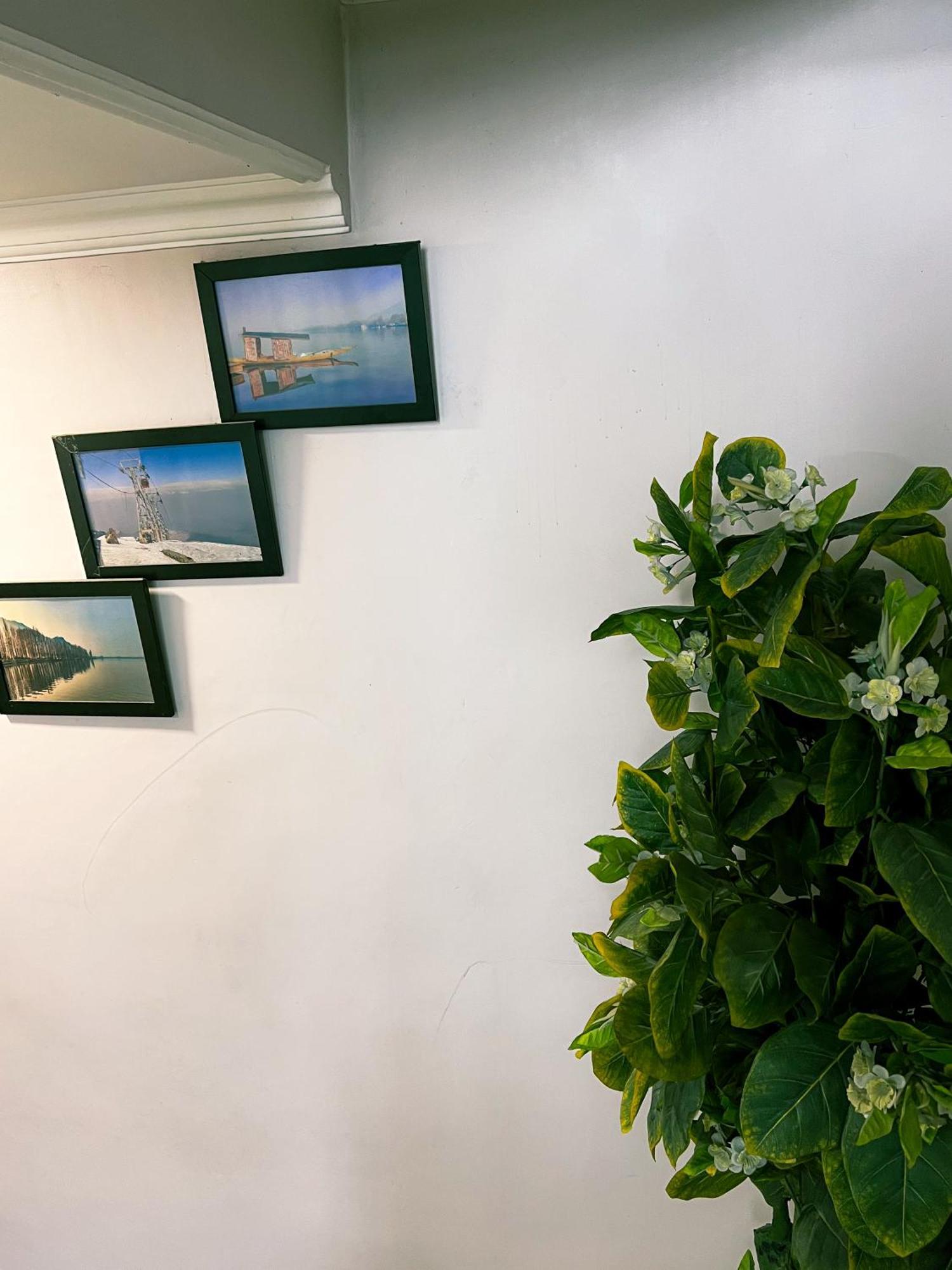Homestay Rocridge Srinagar (Jammu and Kashmir)