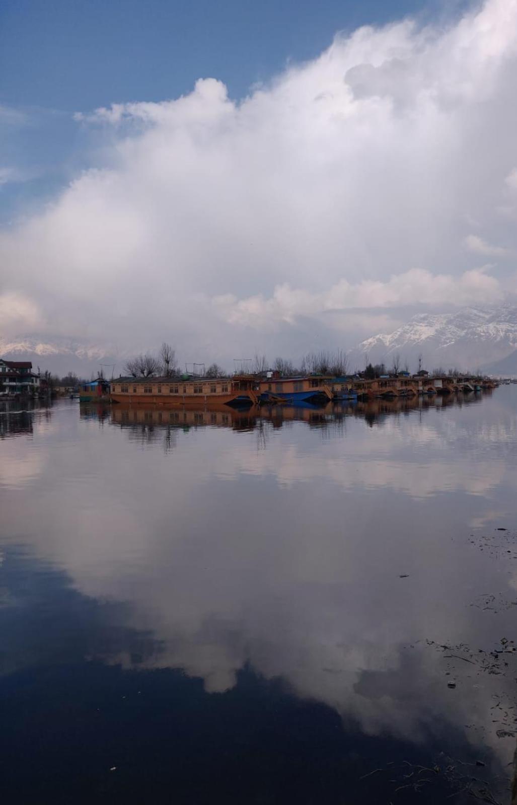 Homestay Island And *