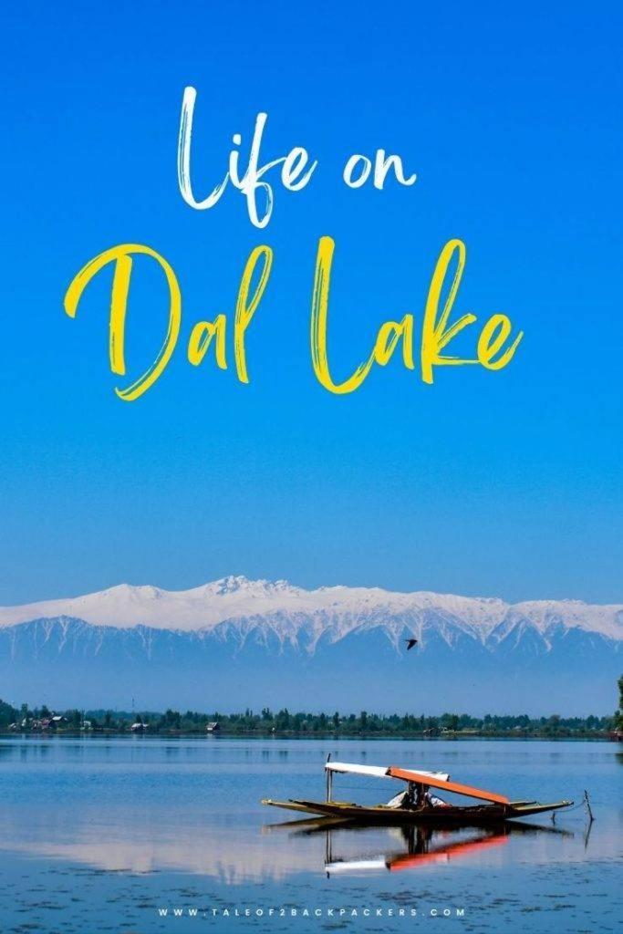 The Dreamer Destination' Houseboat Srinagar (Jammu and Kashmir)