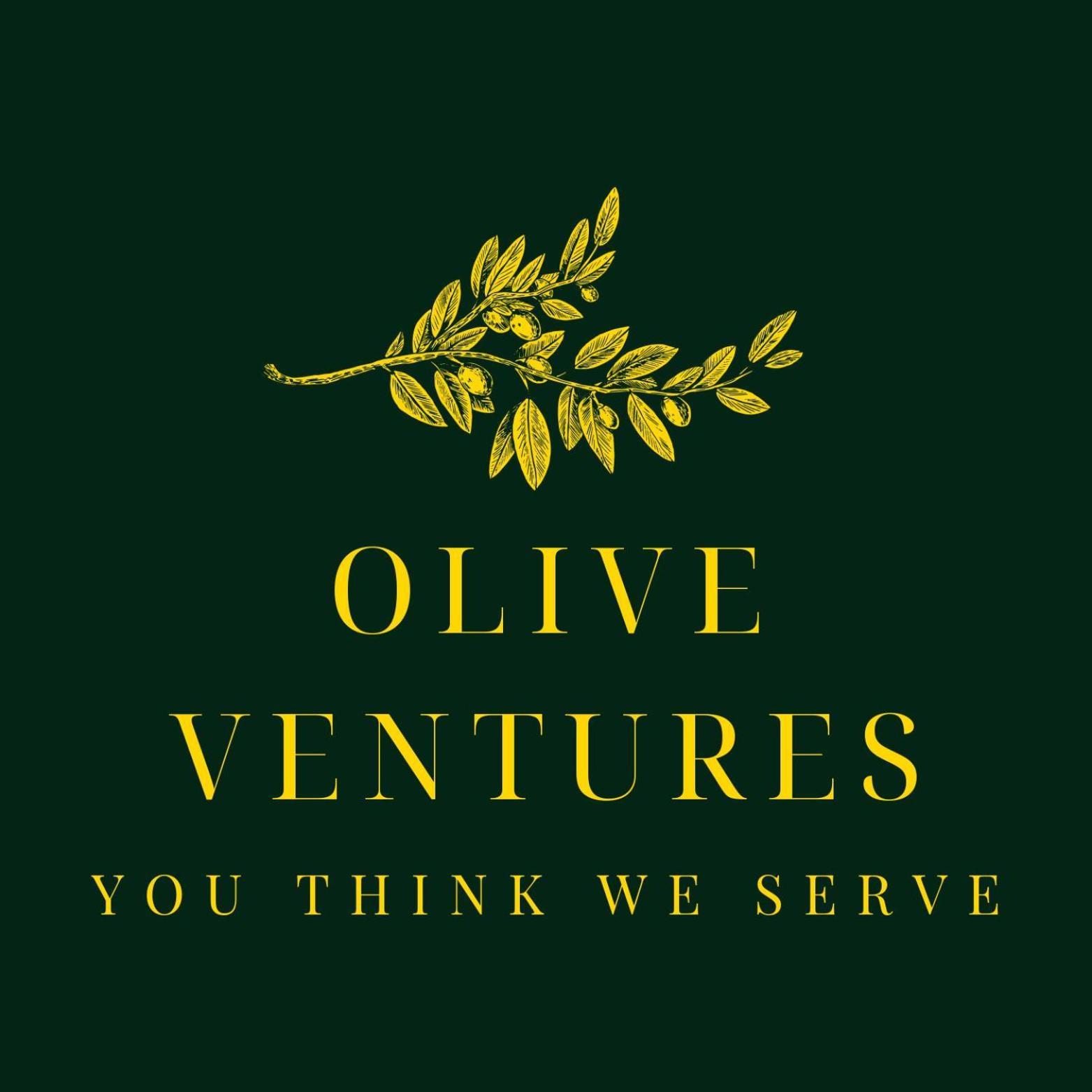 Olive Venture H&r Hotel Srinagar (Jammu and Kashmir)