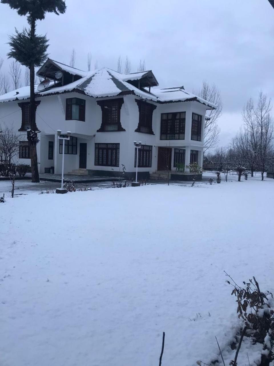 Busybee Guest house Srinagar (Jammu and Kashmir)
