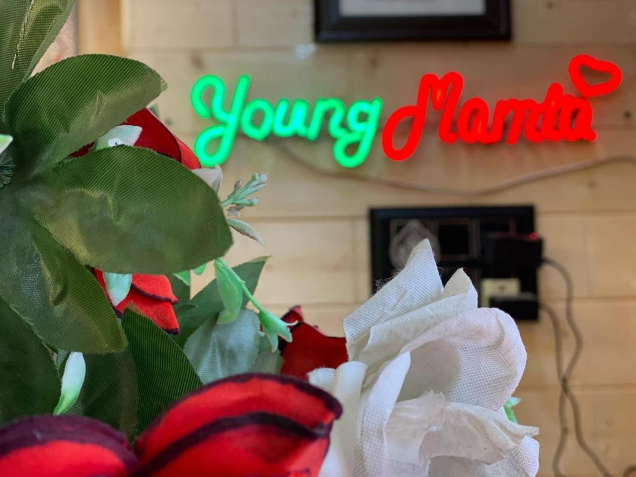 Hotel Young Mamta 3*