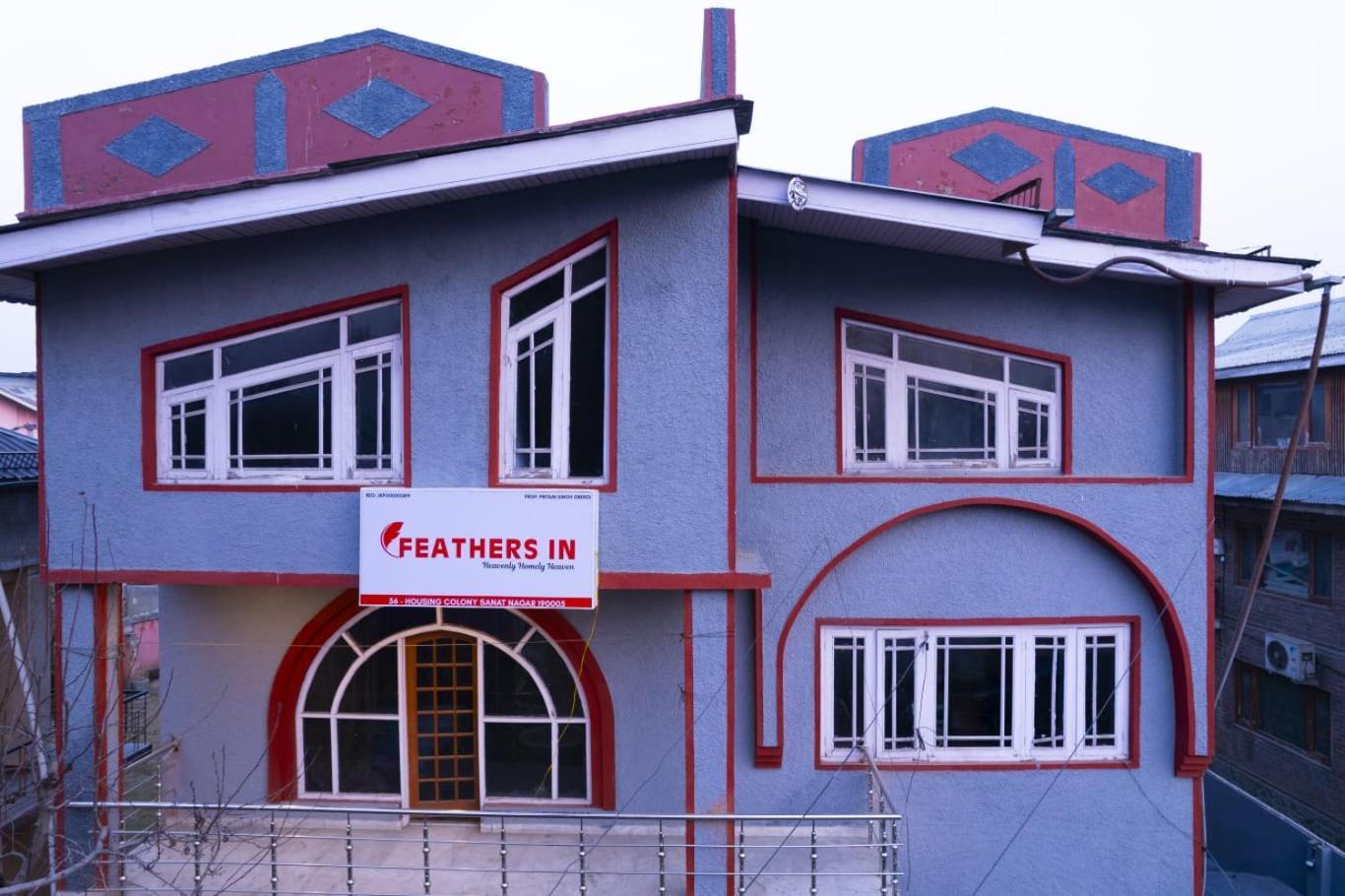 Feathers In *