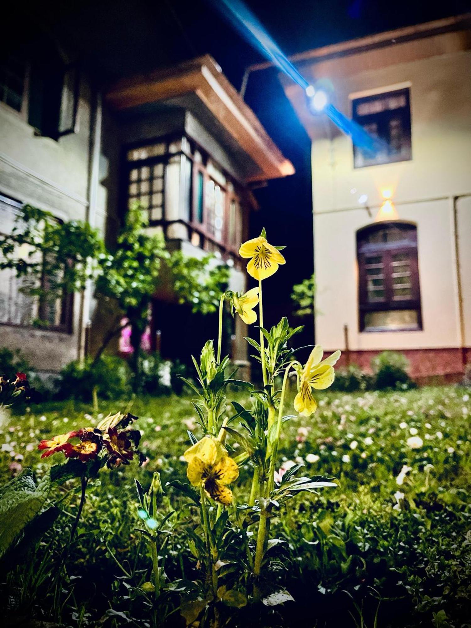 Hezzah Guest house Srinagar (Jammu and Kashmir)