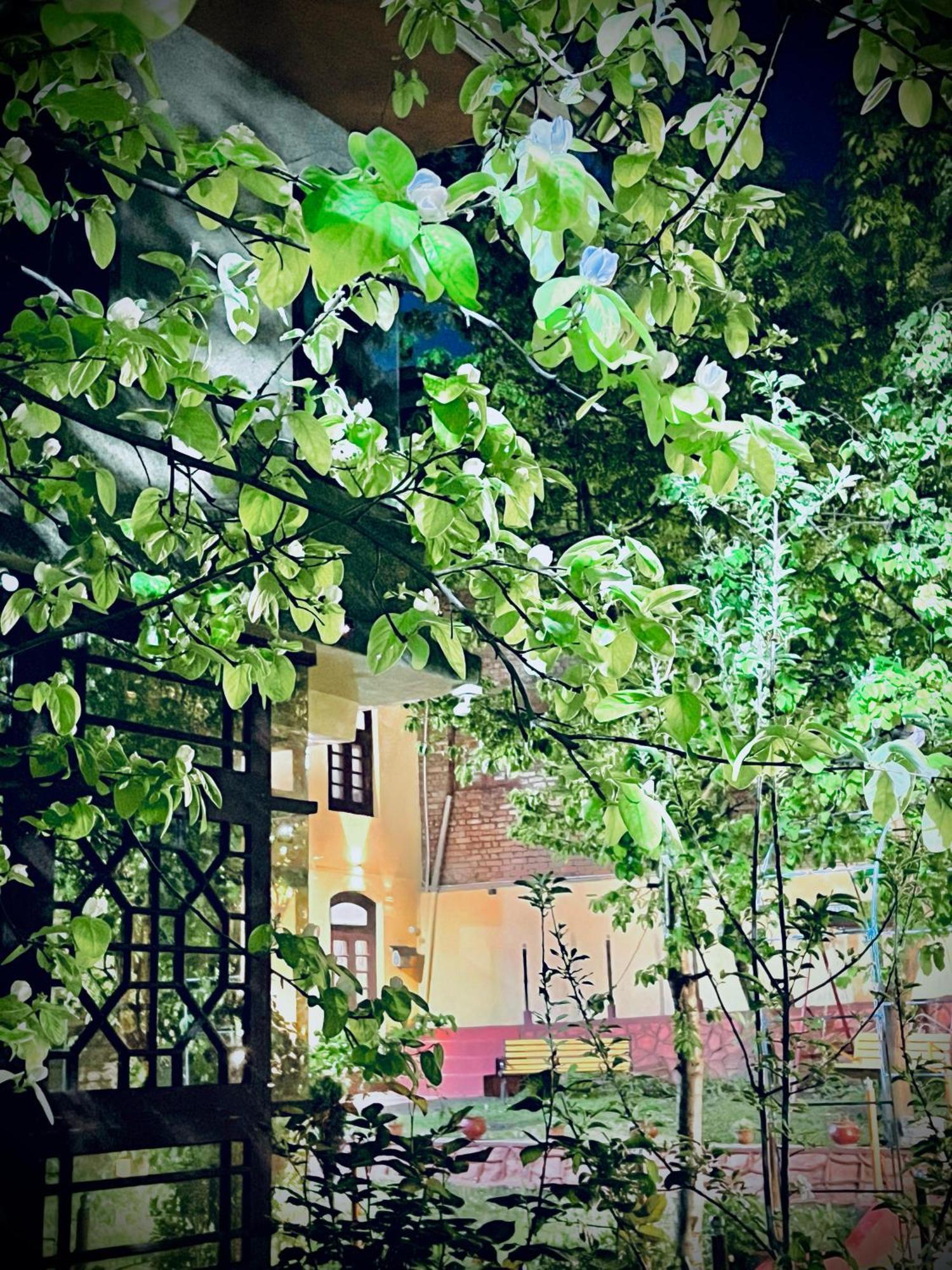Hezzah Guest house *