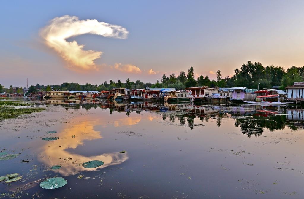 Green View Group Of Houseboats Botel