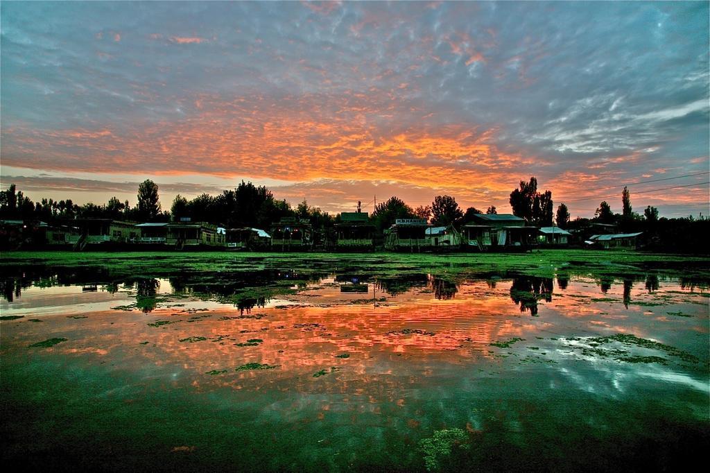 Green View Group Of Houseboats Srinagar (Jammu and Kashmir)