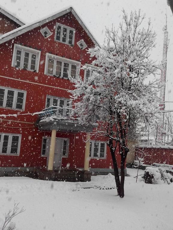Marias Srinagar (Jammu and Kashmir)