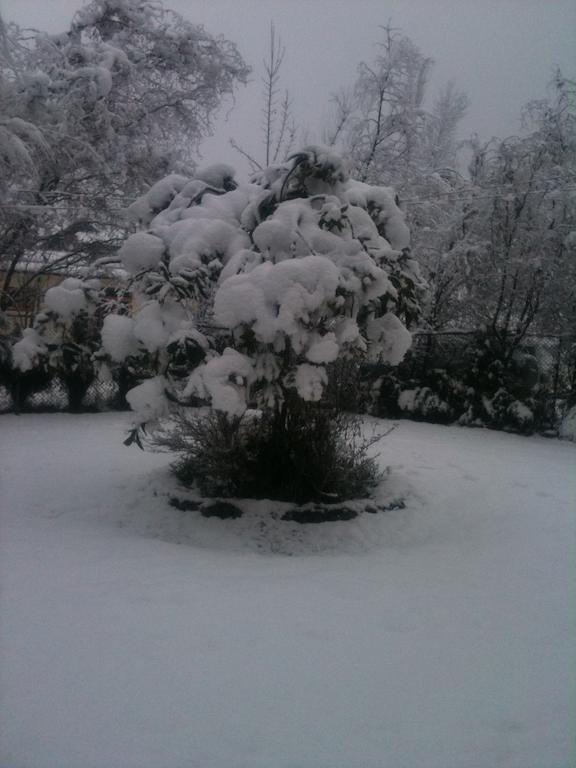 Avenue Srinagar (Jammu and Kashmir)