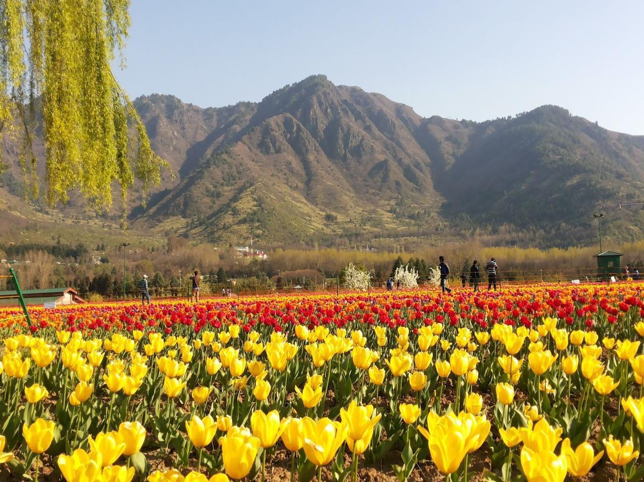 Naaz Kashmir Luxury Houseboat Srinagar (Jammu and Kashmir)